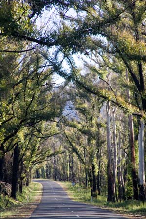RoadTrip_276